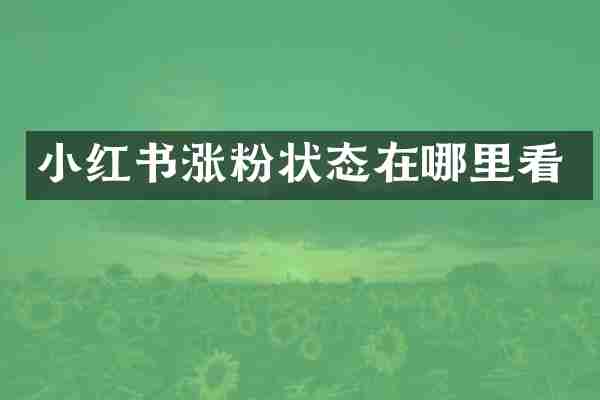 小红书涨粉状态在哪里看