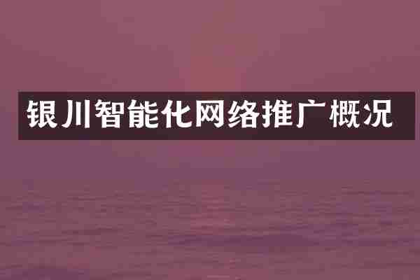 银川智能化网络推广概况