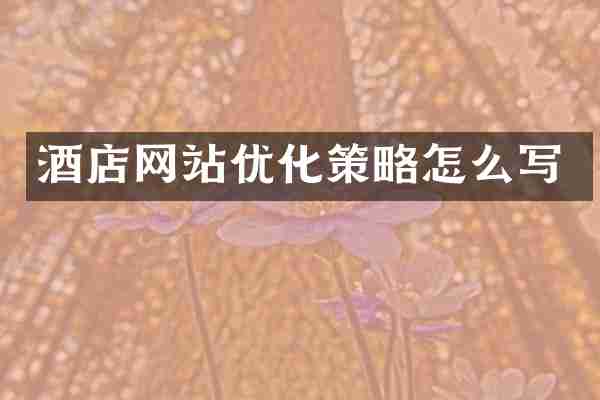 酒店网站优化策略怎么写