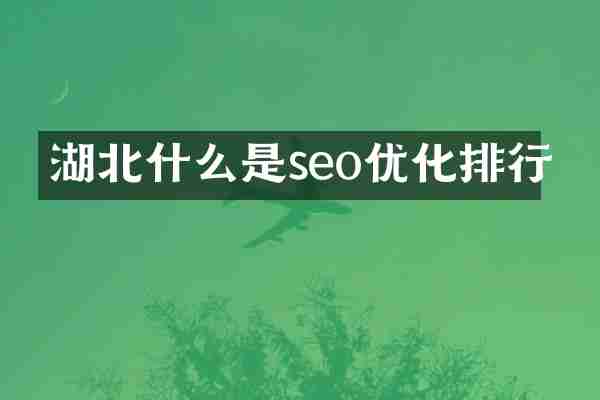 湖北什么是seo优化排行