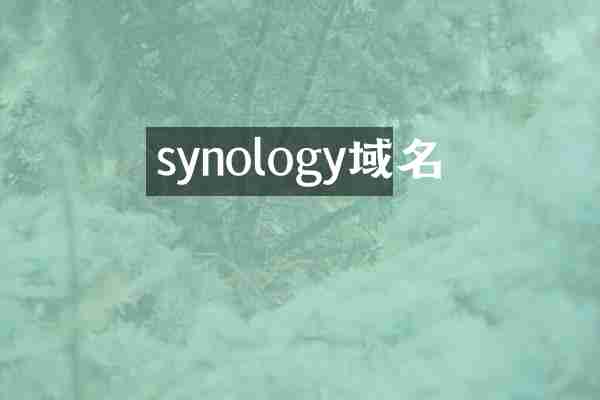 synology域名