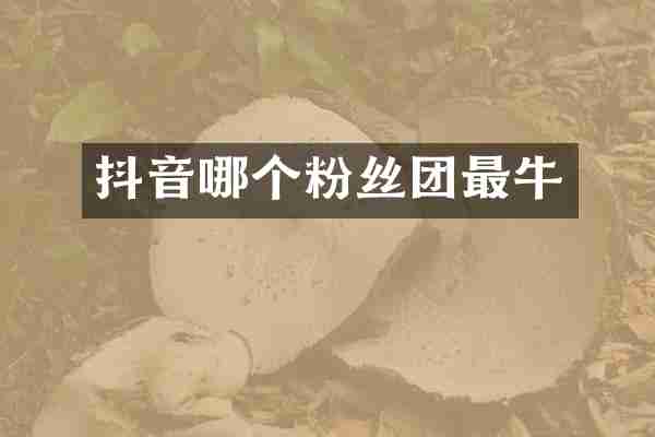 抖音哪个粉丝团最牛