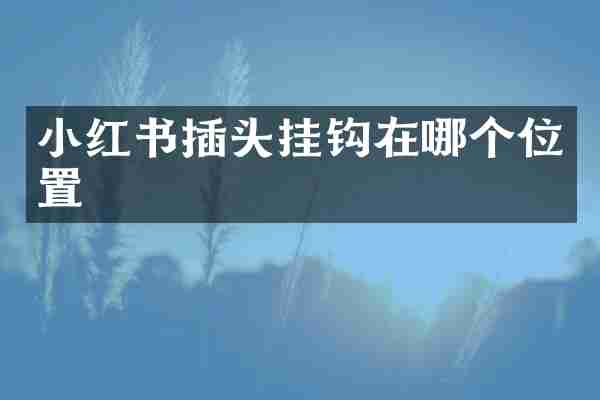 小红书插头挂钩在哪个位置
