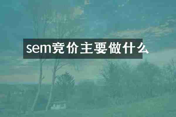 sem竞价主要做什么