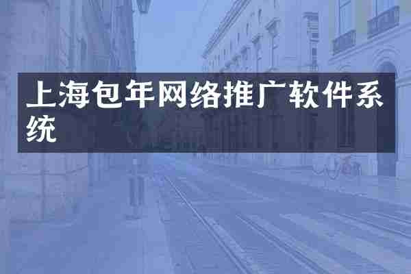 上海包年网络推广软件系统
