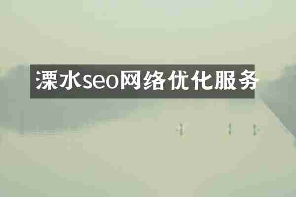 溧水seo网络优化服务