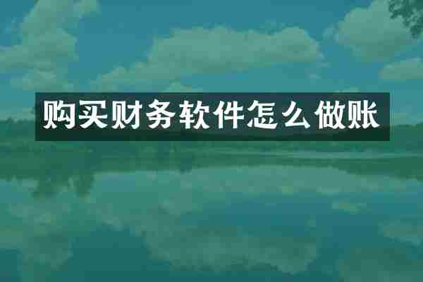购买财务软件怎么做账