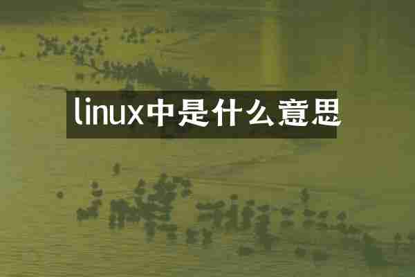 linux中是什么意思