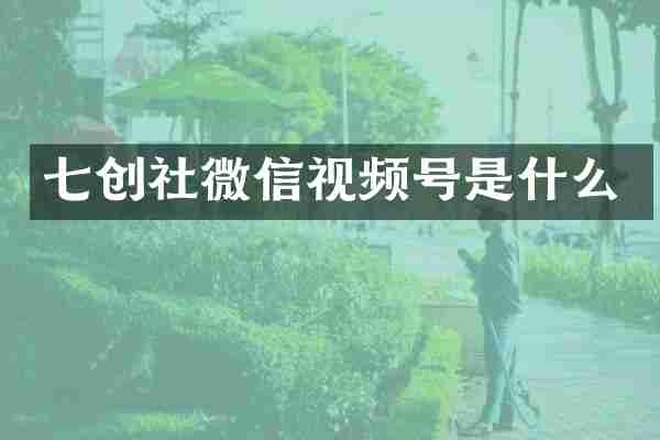 七创社微信视频号是什么