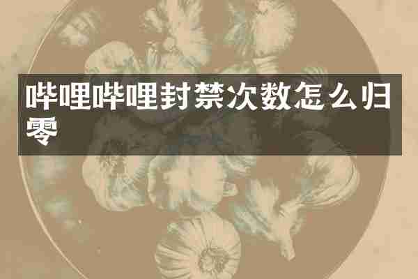 哔哩哔哩封禁次数怎么归零