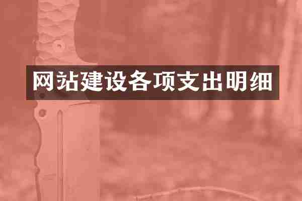 网站建设各项支出明细
