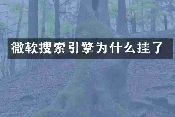 微软搜索引擎为什么挂了
