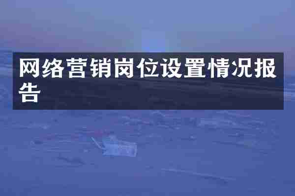 网络营销岗位设置情况报告