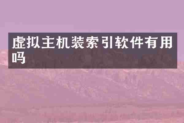 虚拟主机装索引软件有用吗