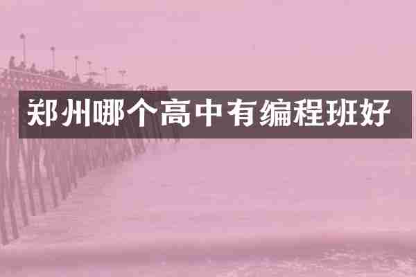 郑州哪个高中有编程班好