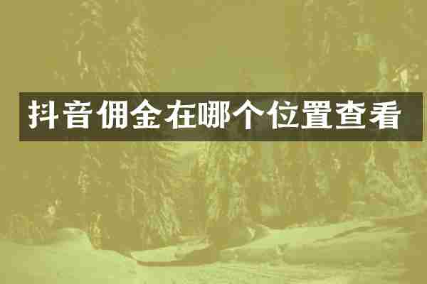 抖音佣金在哪个位置查看