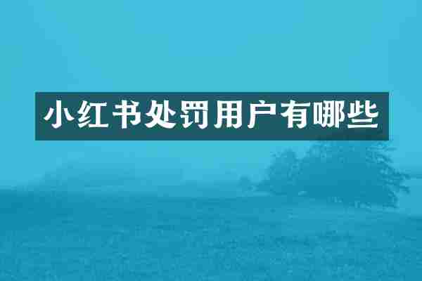 小红书处罚用户有哪些