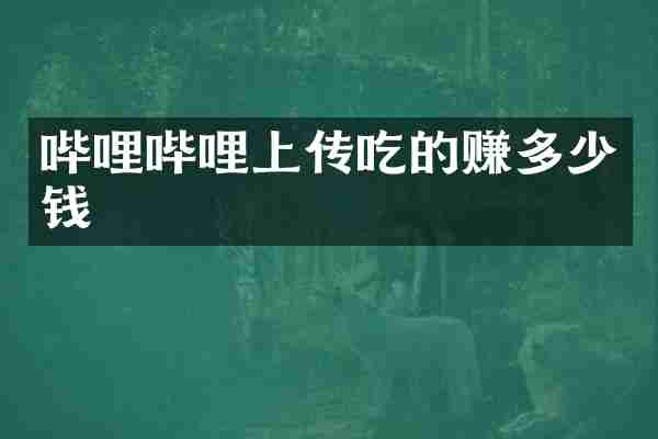 哔哩哔哩上传吃的赚多少钱