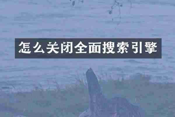 怎么关闭全面搜索引擎