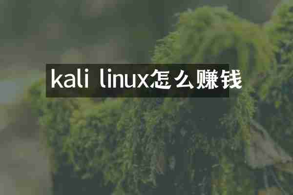 kali linux怎么赚钱