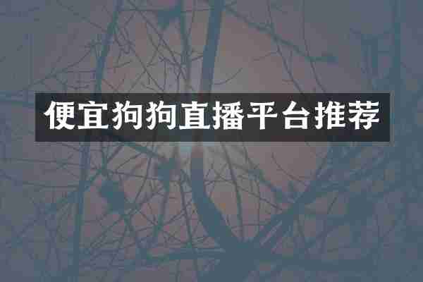 便宜狗狗直播平台推荐