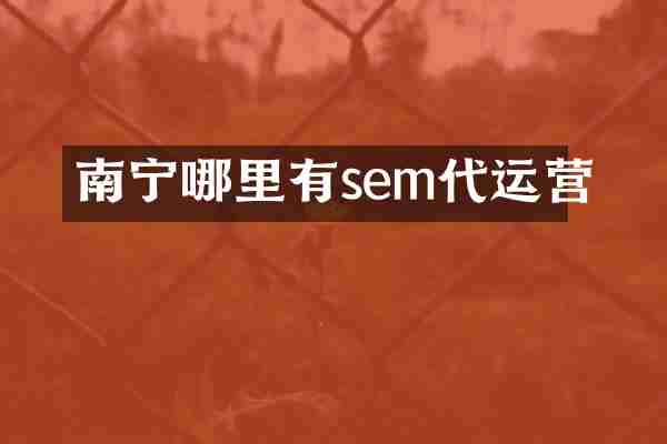 南宁哪里有sem代运营