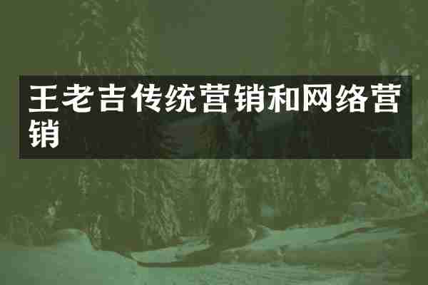 王老吉传统营销和网络营销