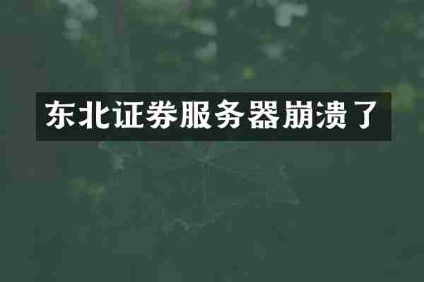 东北证券服务器崩溃了