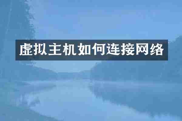 虚拟主机如何连接网络