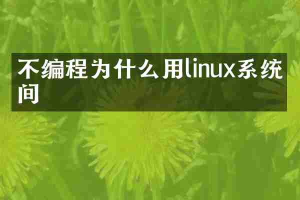 不编程为什么用linux系统时间