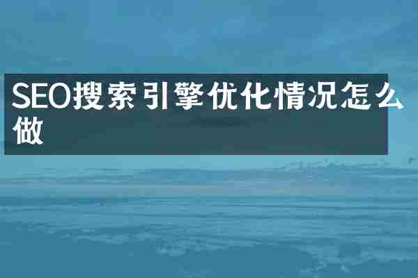 SEO搜索引擎优化情况怎么做