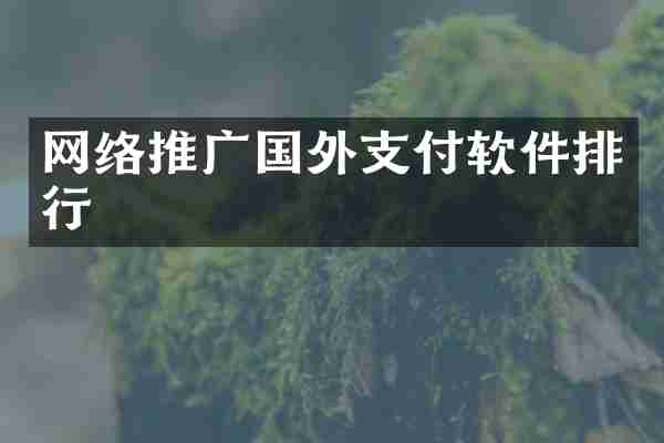 网络推广国外支付软件排行