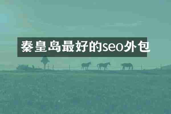 秦皇岛最好的seo外包