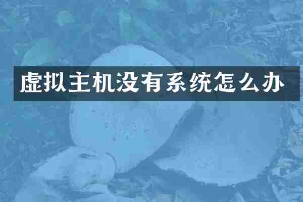 虚拟主机没有系统怎么办