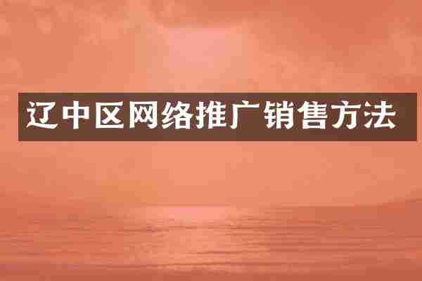 辽中区网络推广销售方法