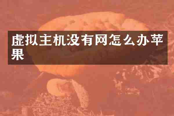 虚拟主机没有网怎么办苹果
