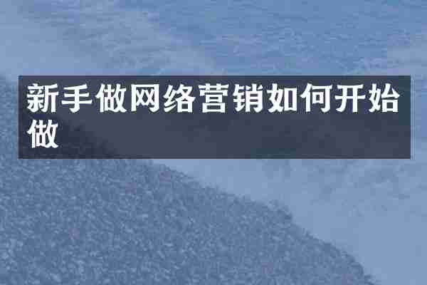 新手做网络营销如何开始做