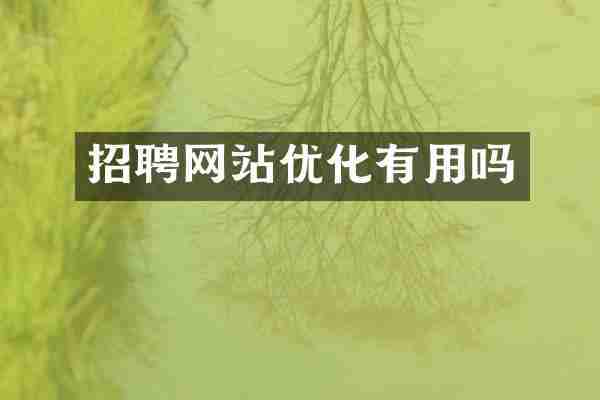 招聘网站优化有用吗