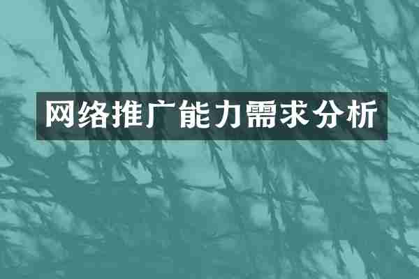 网络推广能力需求分析