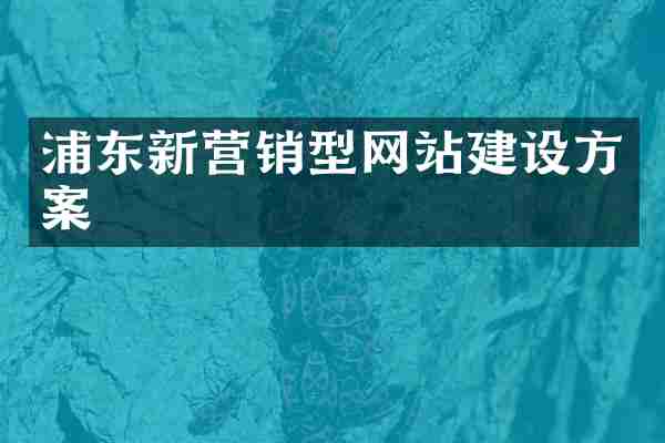 浦东新营销型网站建设方案