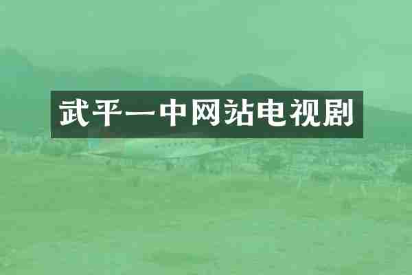 武平一中网站电视剧