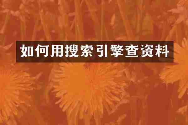 如何用搜索引擎查资料