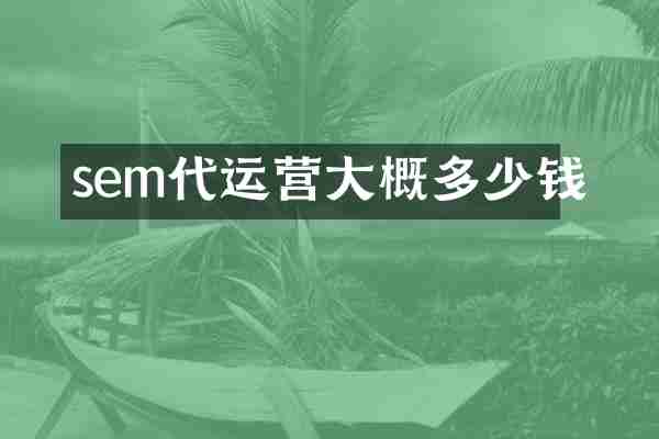 sem代运营大概多少钱