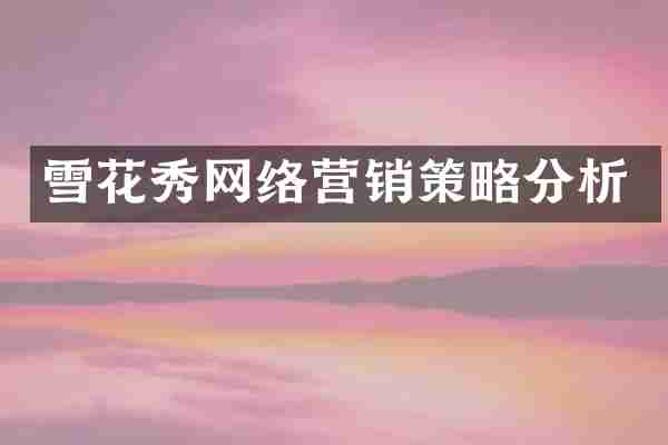 雪花秀网络营销策略分析