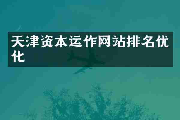 天津资本运作网站排名优化