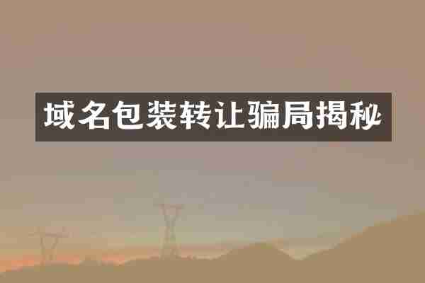 域名包装转让骗局揭秘
