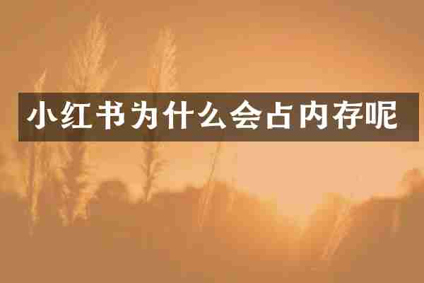 小红书为什么会占内存呢