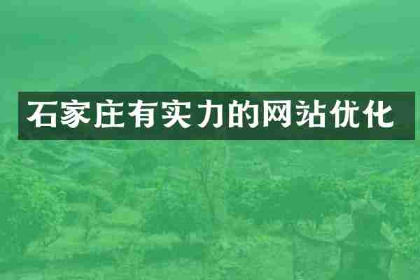 石家庄有实力的网站优化