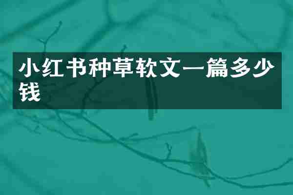 小红书种草软文一篇多少钱