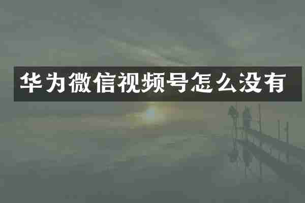 华为微信视频号怎么没有